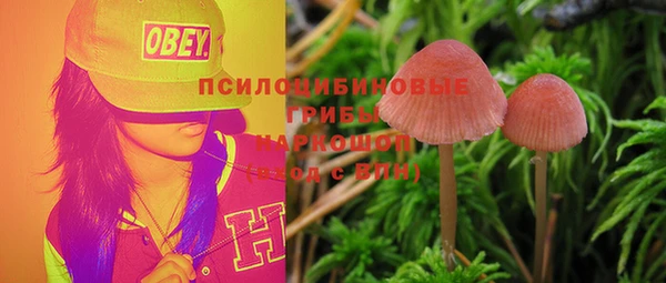 PSILOCYBIN Армянск